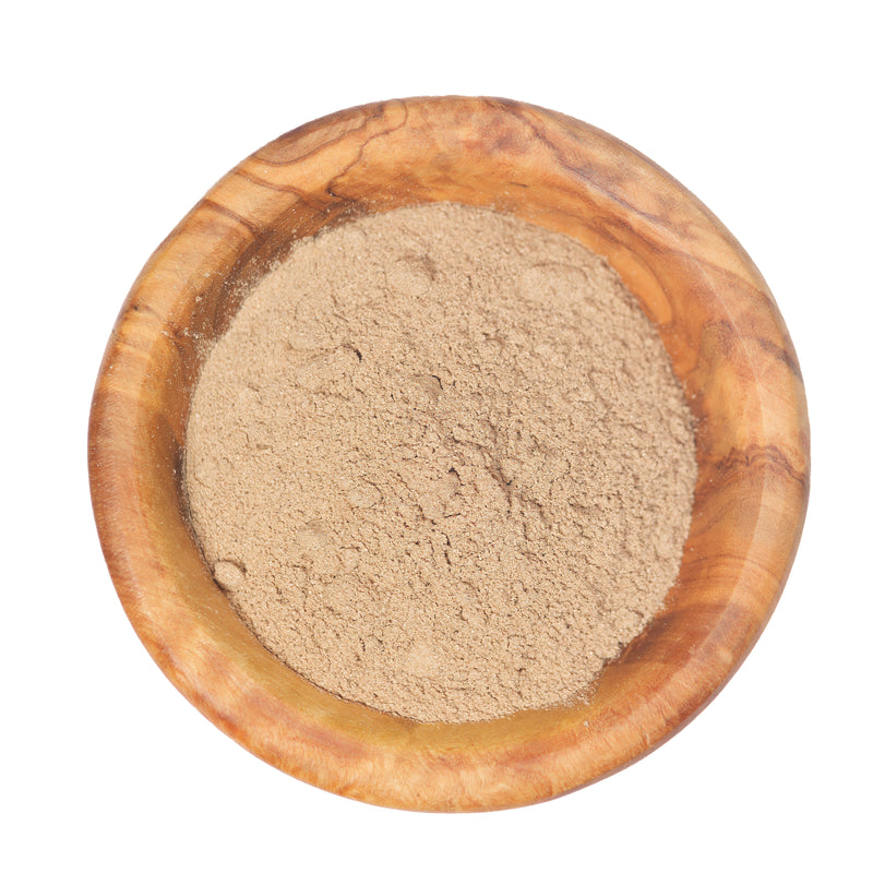Steinpilzpulver 20g